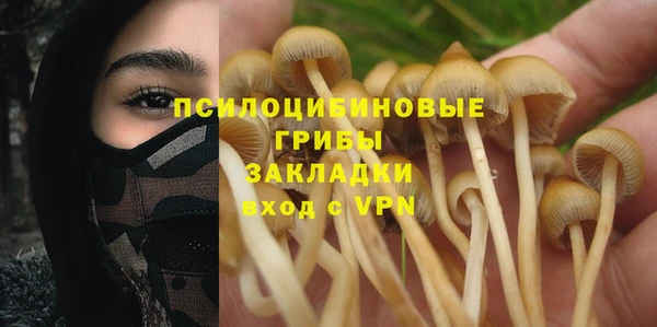 мяу мяу мука Каменногорск