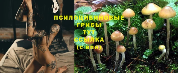 кокаин перу Каменка