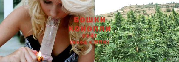 мяу мяу мука Каменногорск