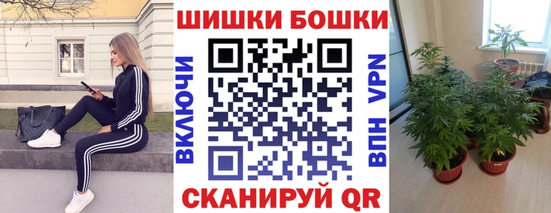 Бошки Шишки SATIVA & INDICA  Купить  Зея 